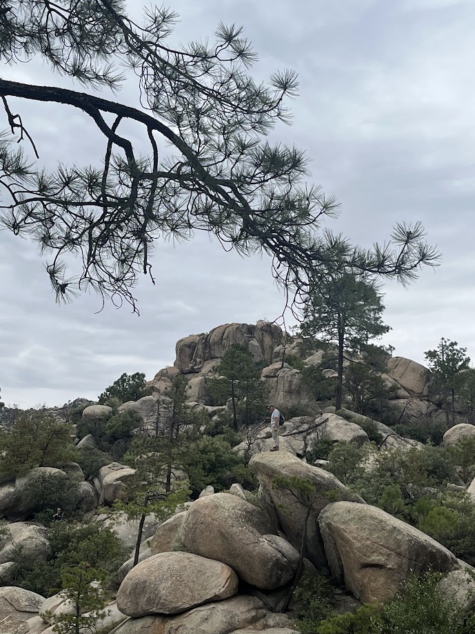 Mount Lemmon